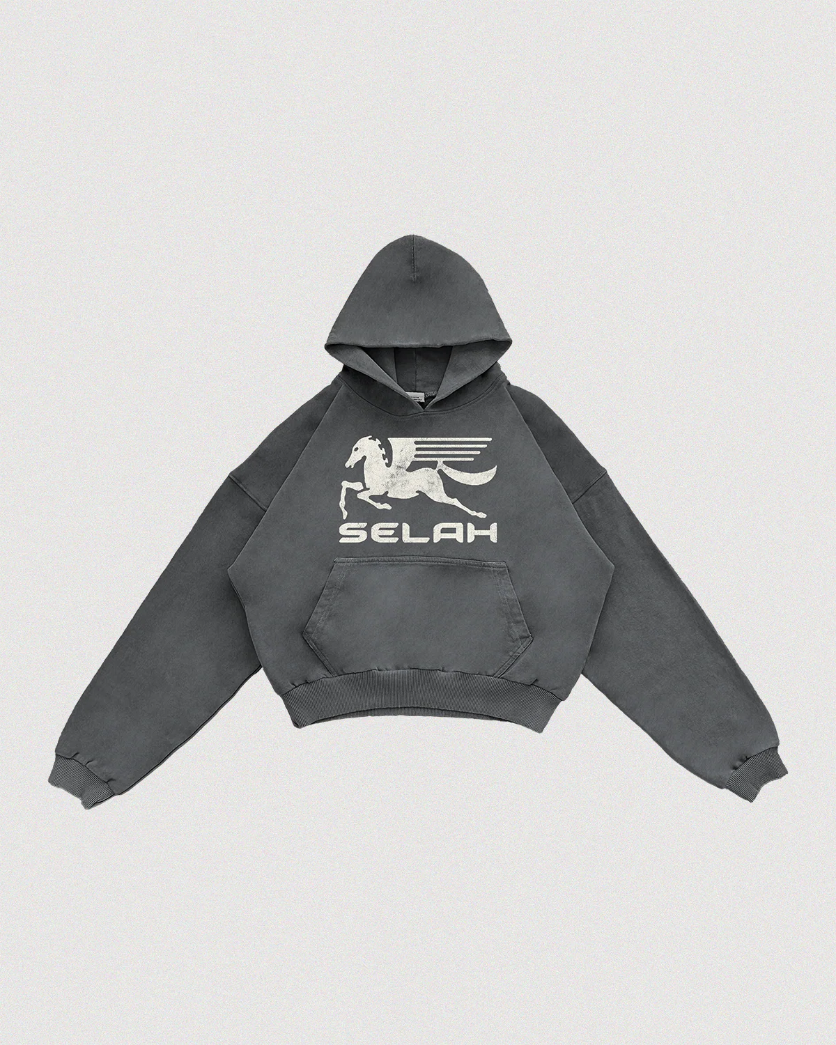 "PEGASUS" SUN-FADED HOODIE - Image 4